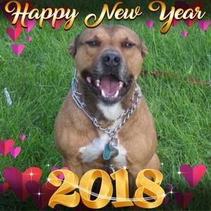 Meet your Posher, Mel